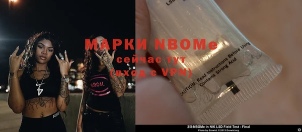 ГАЛЛЮЦИНОГЕННЫЕ ГРИБЫ Вязники