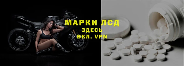 эйфоретик Вяземский