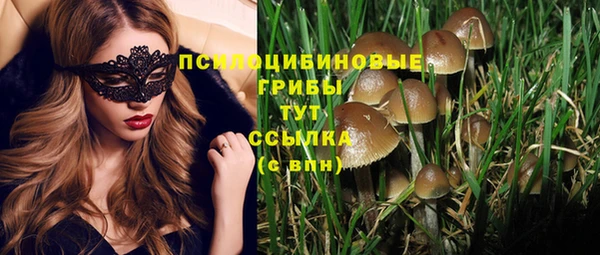 ГАЛЛЮЦИНОГЕННЫЕ ГРИБЫ Вязники