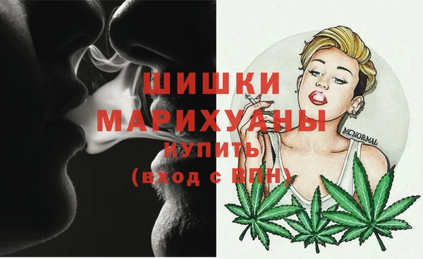 эйфоретик Вяземский