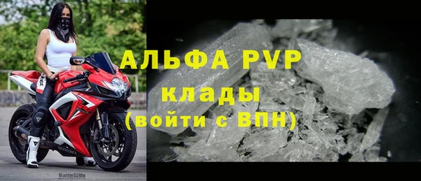 эйфоретик Вяземский