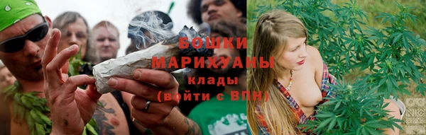 ГАЛЛЮЦИНОГЕННЫЕ ГРИБЫ Вязники