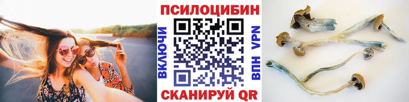 Купить закладки  Кудымкар  Галлюциногенные грибы GOLDEN TEACHER 